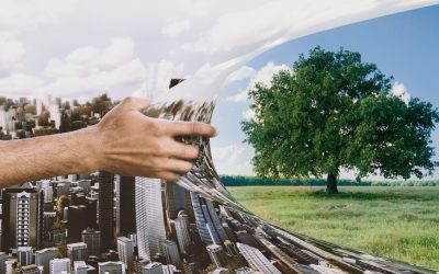 5 trajnostnih gradbenih materialov, ki jih morate poznati